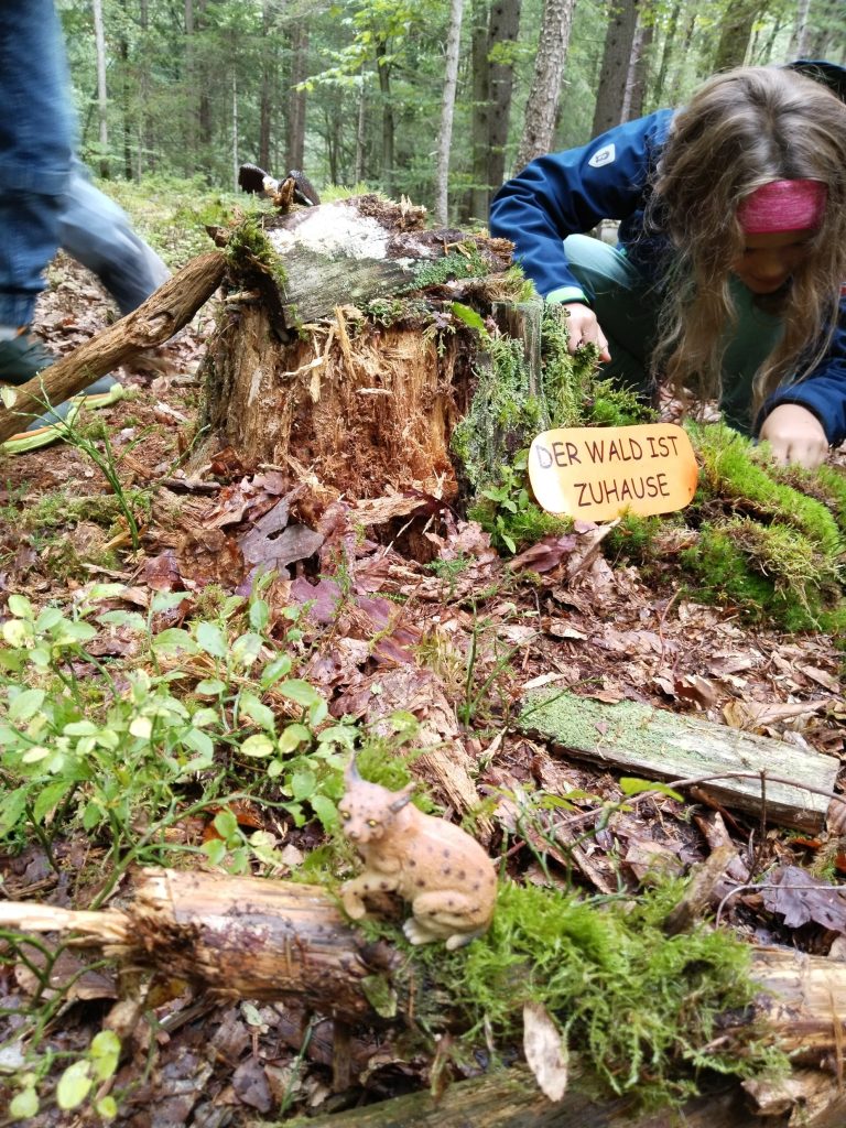 202509-1b-walderlebnis