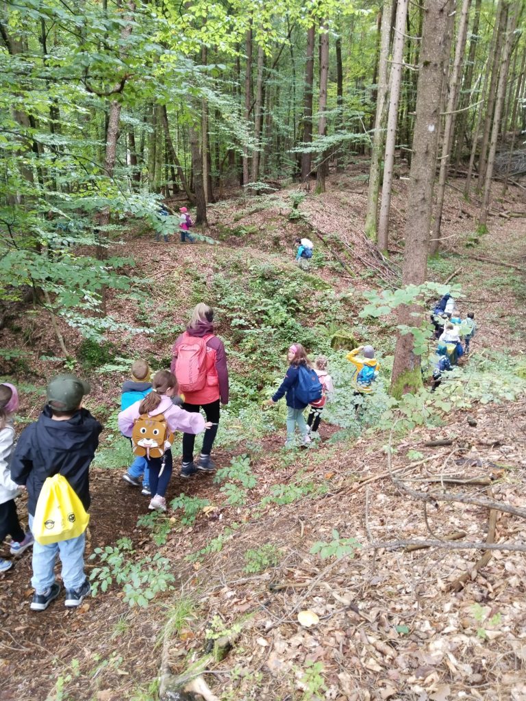 202509-1b-walderlebnis