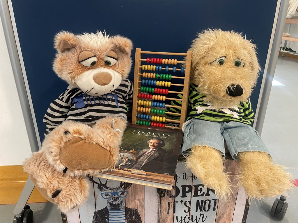 202602-schuleinschreibung