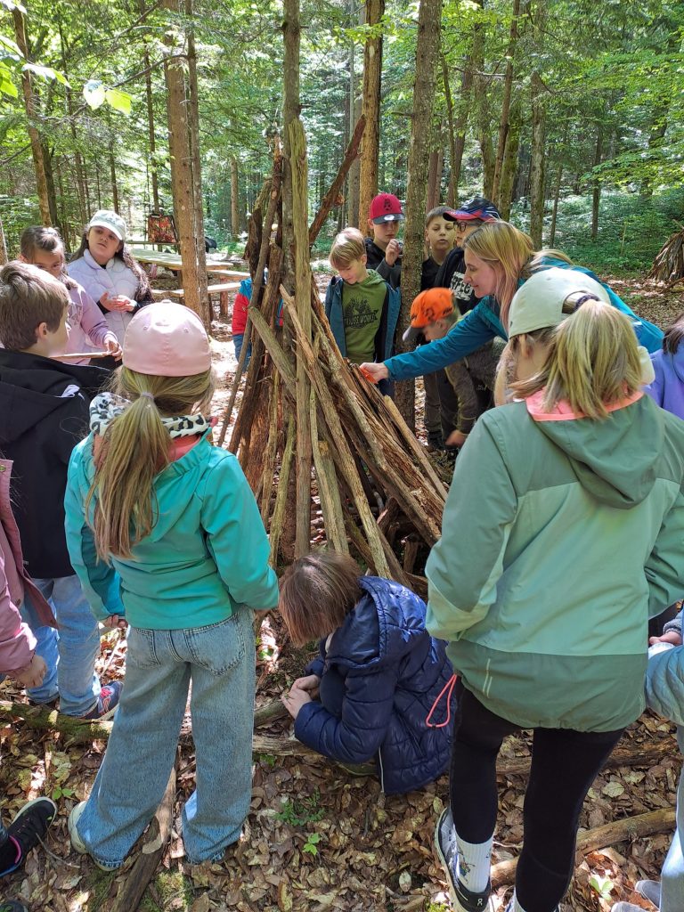 202605-2b-wald