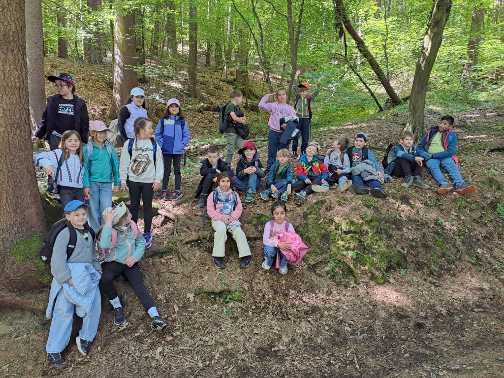 202605-2b-wald