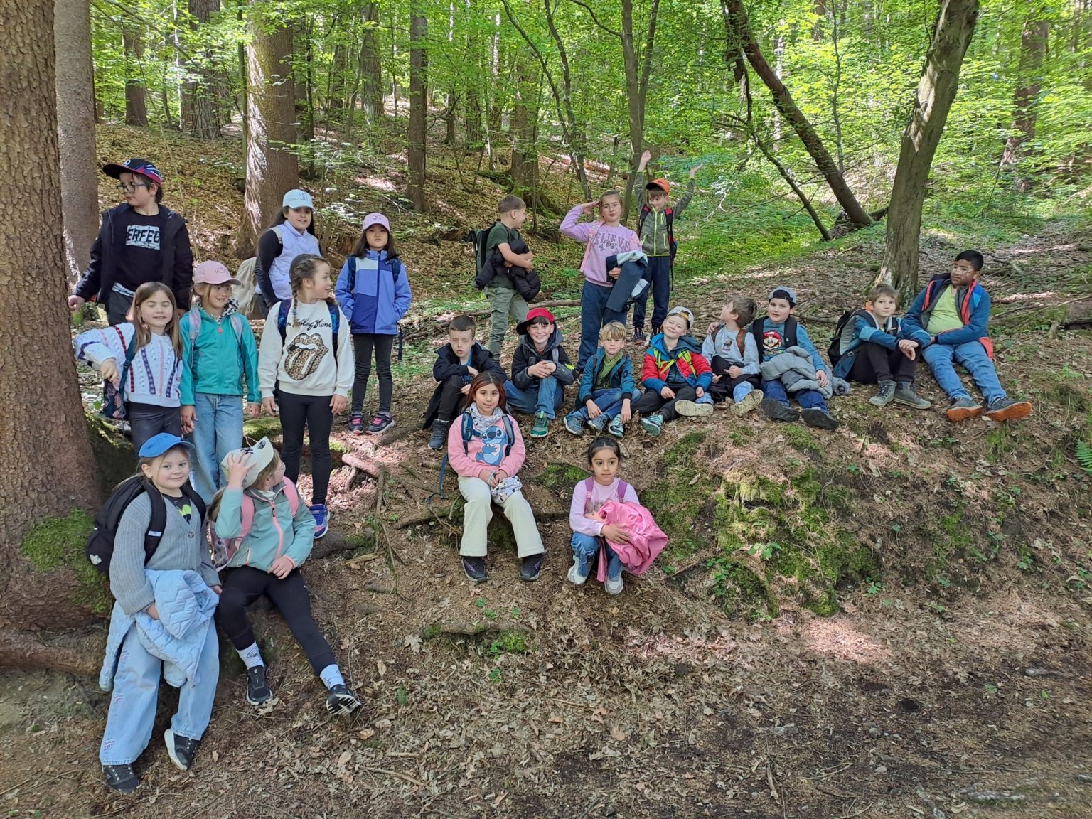 202605-2b-wald