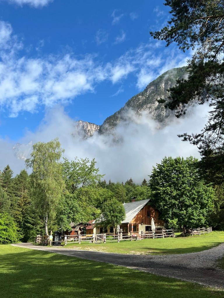202606-3a-wandertag